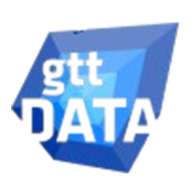 Gtt Data Solutions Ltd logo