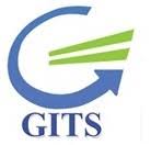 Guru Information Technology Services Private Limited logo