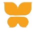 Gvr Infosystems Pvt Ltd logo