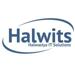 Halwasiya It Solutions logo