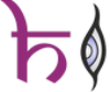 Himalaya Surveillance And Solution Pvt Ltd logo