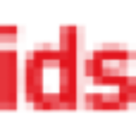 Ids Logic logo