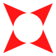 Intellect Bizware Services Pvt. Ltd. logo