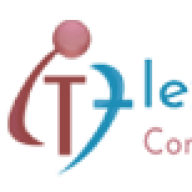 It Flex Solutions logo