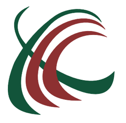 Kerol Systems logo
