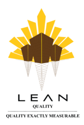 Leanquality Solutions (I) Pvt. Ltd. logo