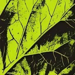 Lemon Technologies logo