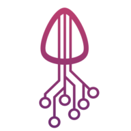 Loumus Data Systems logo