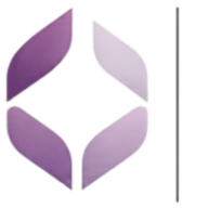 Magnifia Solutions logo