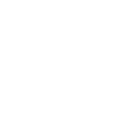 Manipal Information Security Team logo
