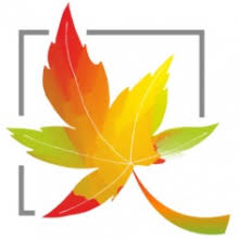 Maple Software Pvt. Ltd. logo