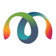 Master Software Solutions logo