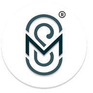 Mavani Solution® -  Ai First Product Development Company logo