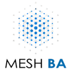 Meshba Solutions Llp logo