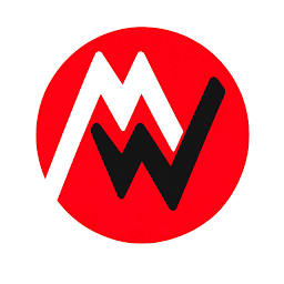 Mouriya It Solutions Private Limited logo