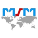 Msm Consultancy Service logo