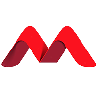 Multinationalseo logo