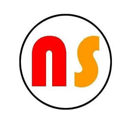 Nanosoft logo