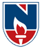 Narayana Engineering College - India logo