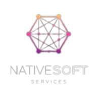 Native Soft Services logo
