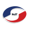 Nest Digital logo