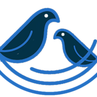 Nest Software Private Limited logo
