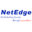 Netedge Computing Solutions Pvt. Ltd. logo