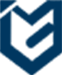 Netvoyz™ logo