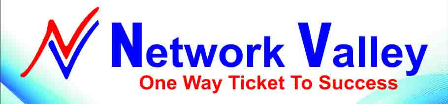 Network Valley logo
