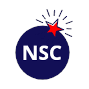 Neumann System Consultancy Privatelimited.Nashik logo