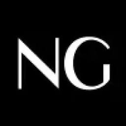Novel Team logo