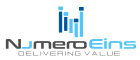 Numeroeins Software Private Limited logo