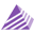 Oak Systems logo