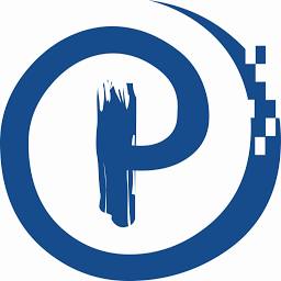 Paragon Dynamics Info Systems logo