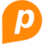Paylesser.Com logo