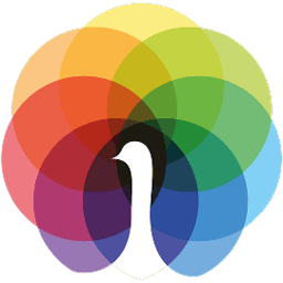Peafowl It Solution logo