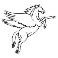 Pegasus Infocorp logo