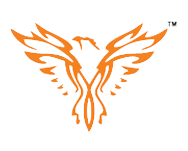 Phoenix  It Consultants Pvt Ltd.,       (Formerly  Know As Phoenix Human Capital Pvt Ltd) logo
