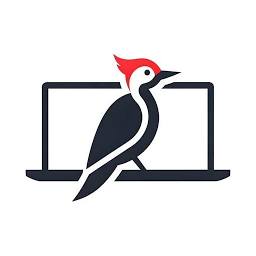 Picoids Technology And Consulting logo