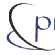 Pioneer Information S Stems logo