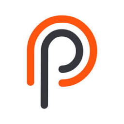 Precious Infosystem logo