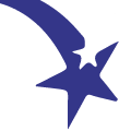 Primestar Consulting Services Pvt. Ltd. logo