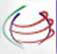Prithvi Solutions logo
