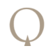 Quantum Bso logo