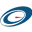 Radius Infotech Pvt Ltd logo