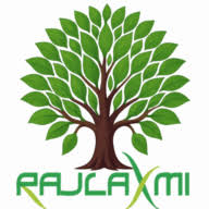Rajlaxmi Solutions Private Limited logo