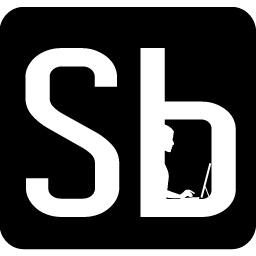 Sallybase logo