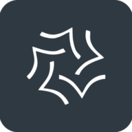 Salorix Consulting logo