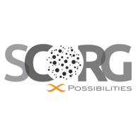 Scorg International Consulting Pvt. Ltd. logo