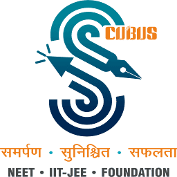 Scubus Software Private Limited logo